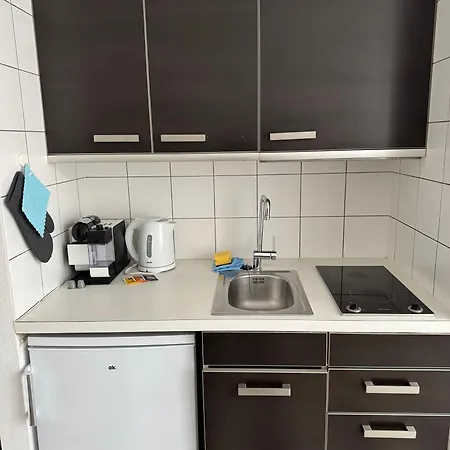 Schoenste Lage An Der Donau 1 Daire